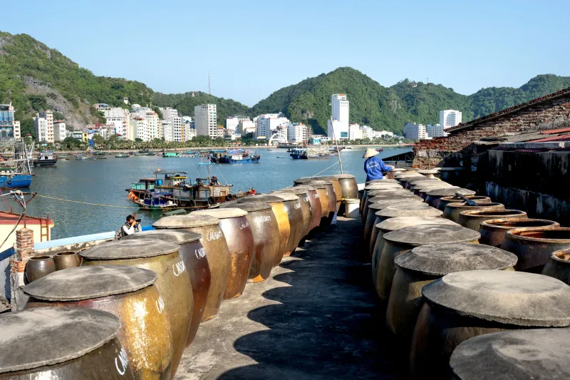 Cá Kho Tộ Không Cần Tộ Đất: Bí Quyết Giữ Vị Đậm Đà Trên Bếp Mỹ